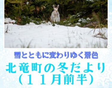 Mùa đông cuối cùng cũng đã đến với thị trấn Hokuryu. Tuyết vẫn tiếp tục rơi và tan, khung cảnh trắng xóa dần lan rộng. [Hiệp hội Du lịch Hoa hướng dương thị trấn Hokuryu, Yuto Sakai]