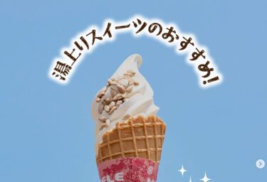 ゆったり温泉の後に♨️至福の湯上りスイーツ  お風呂上がりの火照った体に染み渡る冷たさ！ 当館の人気デザート、ソフトクリームはいかがですか？🍦【サンフラワーパーク北竜温泉】