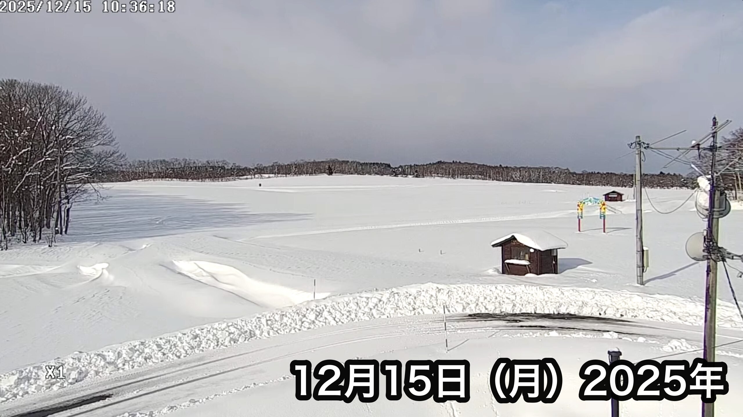 Siaran langsung dari Asosiasi Pariwisata Bunga Matahari Kota Hokuryu.