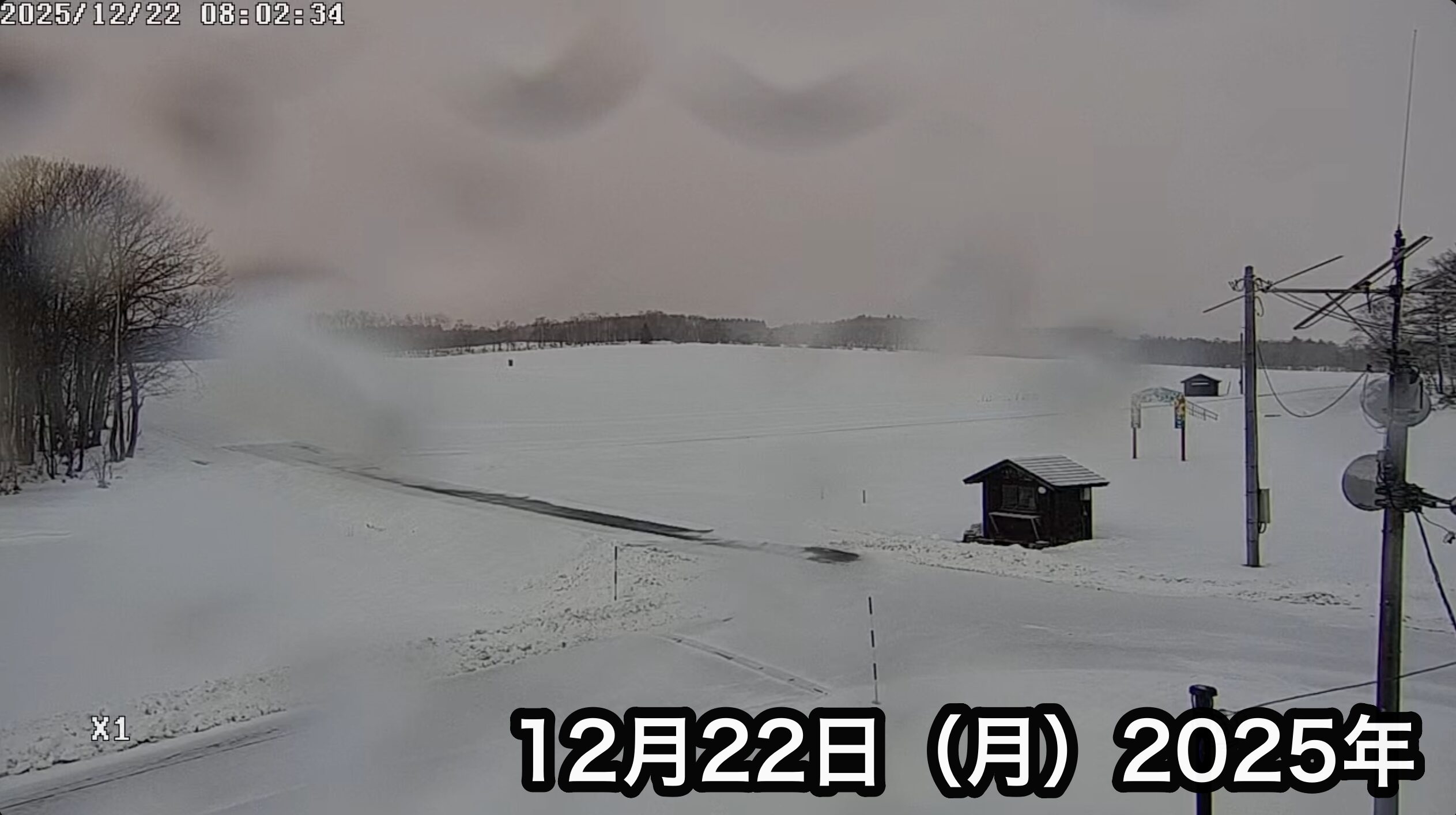 北竜町ひまわり観光協会 のライブ配信