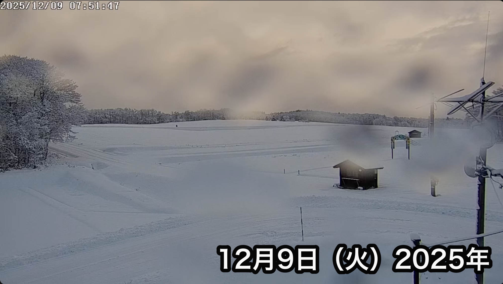 Phát trực tiếp Hiệp hội Du lịch Hoa hướng dương Thị trấn Hokuryu