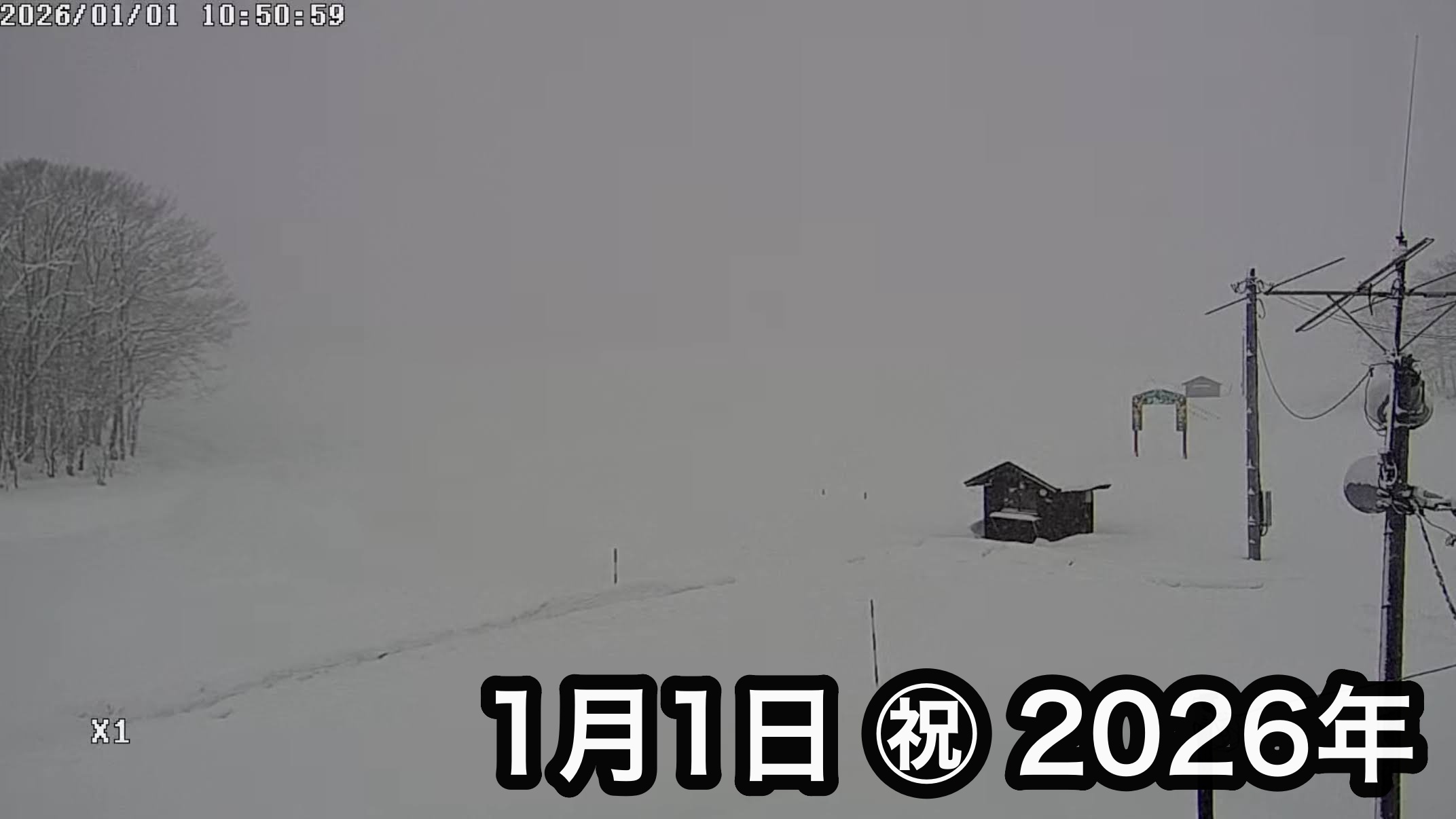 Hokuryu Kasabası Ayçiçeği Turizm Derneği tarafından canlı yayın