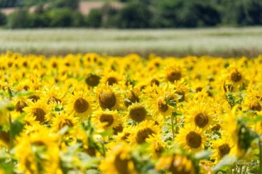 直近1週間の人気記事 トップ10