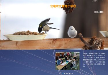 3月17日（火）4年音楽「合奏」～「魔法のすず」を合奏します。リコーダー、バスキー、キーボード、鉄琴、木琴の5種類の楽器を使います【真竜小学校】