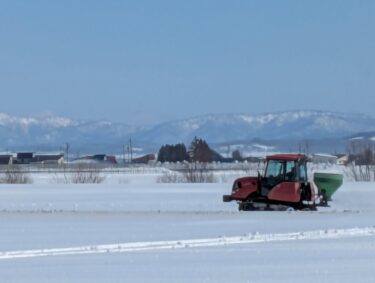 Work has begun in the spring of 2026. Here are some photos of the snowmelt agent being spread. Spreading it will speed up the snowmelt. [Mizuho Co., Ltd.]