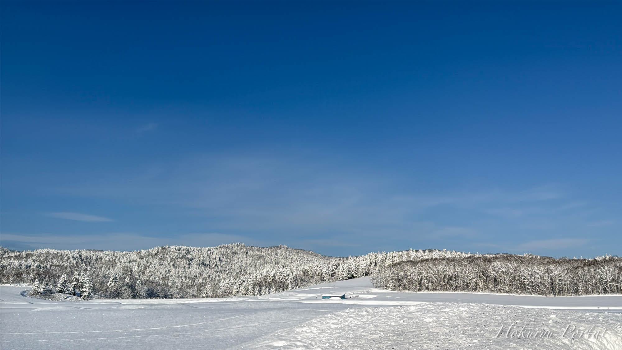 プライバシーポリシー