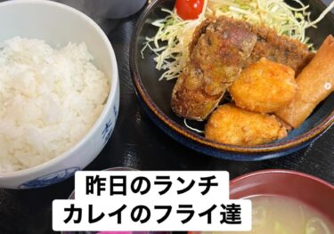 🌻 4月1日（水）本日の日替わりランチ：カレイのフライ達定食でした ♪【お食事処向日葵】