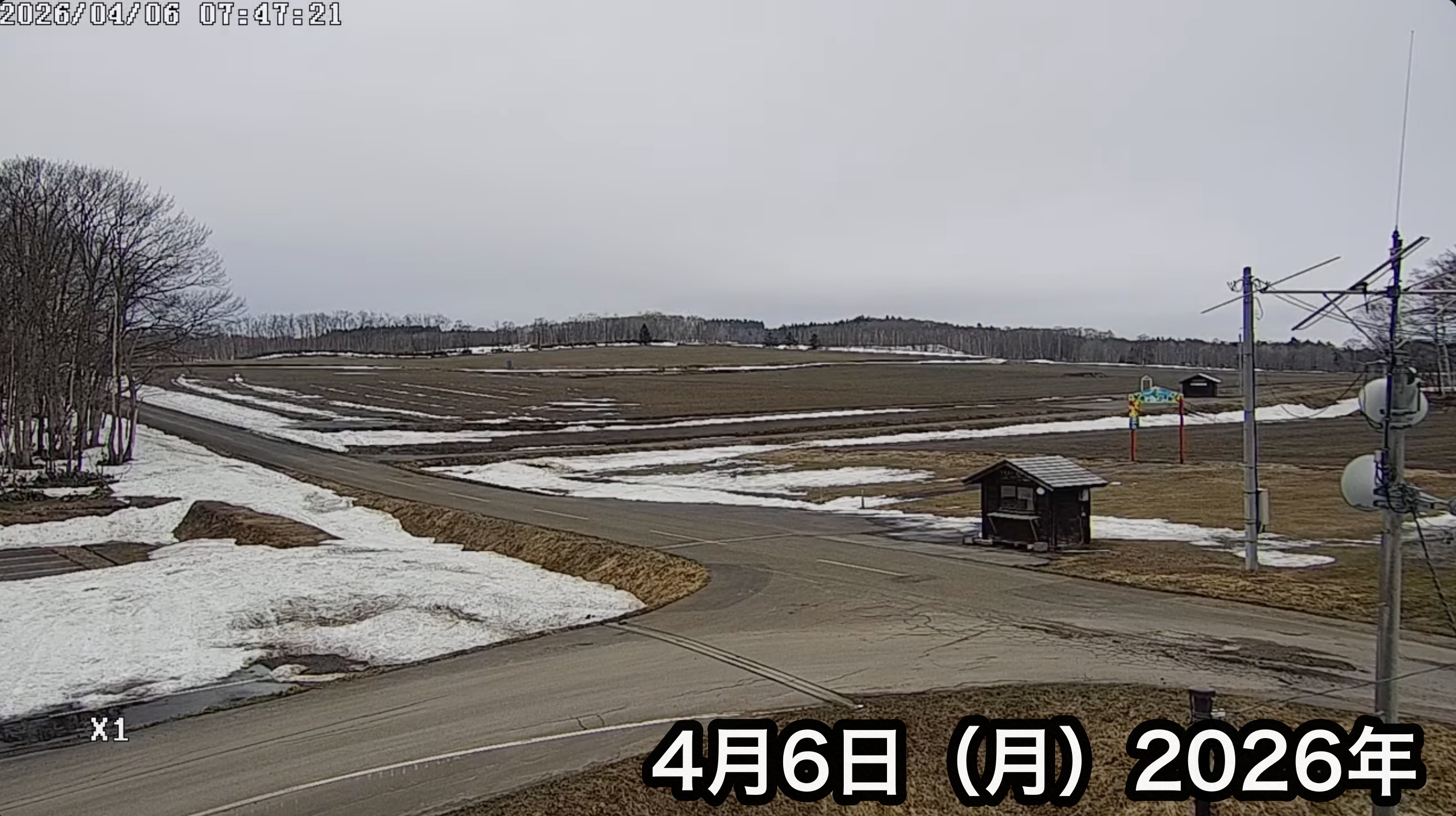 Transmissão ao vivo da Associação de Turismo de Girassóis da Cidade de Hokuryu