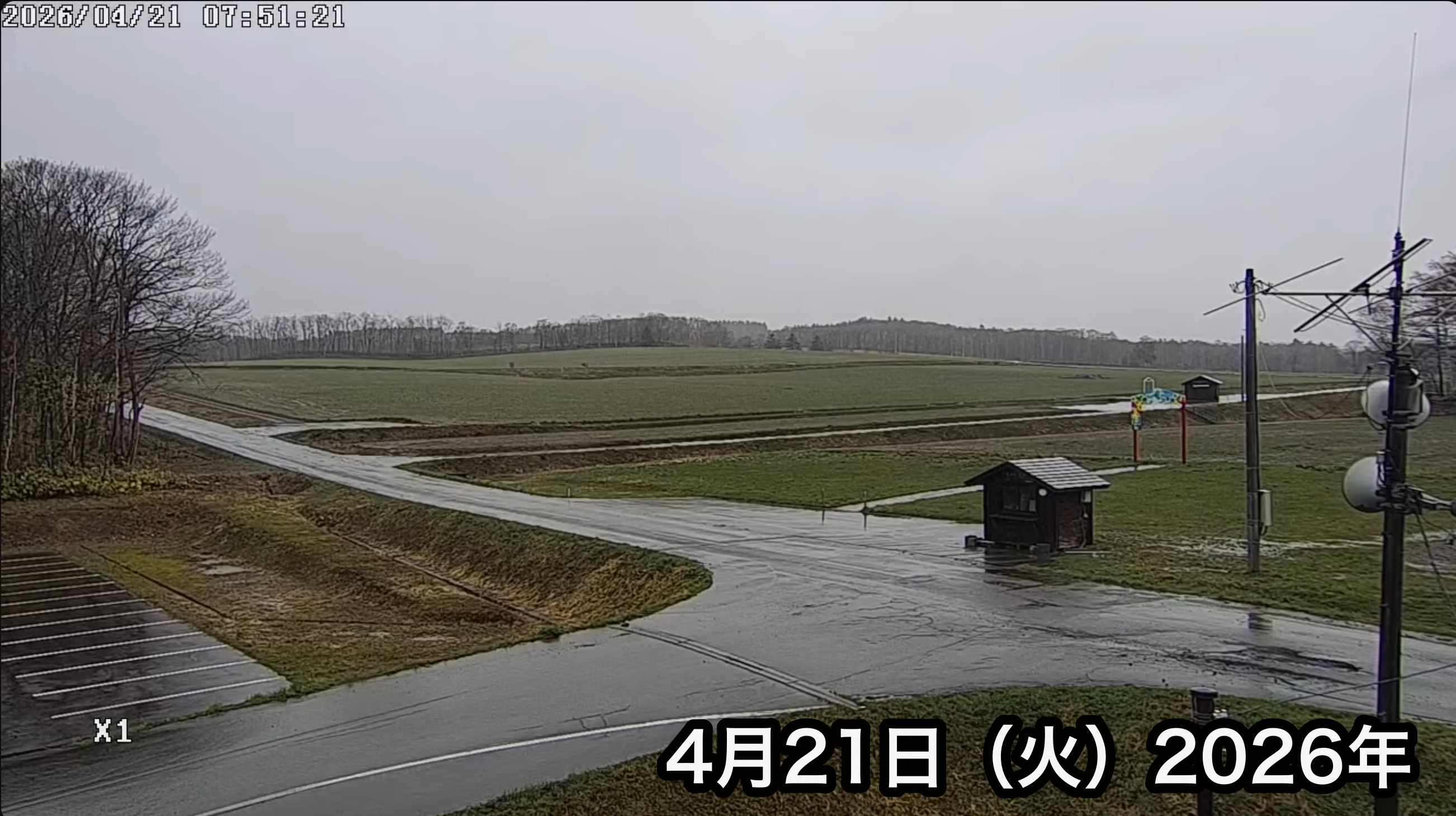 Siaran Langsung Asosiasi Pariwisata Bunga Matahari Kota Hokuryu