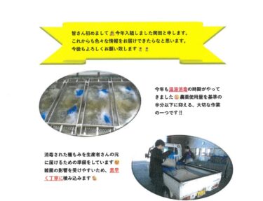 皆さん初めまして。今年入組しました岡田と申します。これからも色々な情報をお届けできたらなと思います。【JAきたそらち北竜支所】