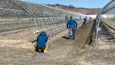 （株）みずほ 密苗の旅 2026 第2便 ｜ 北竜町の大地が目覚める春、100ha 分の「いのち」が芽吹く