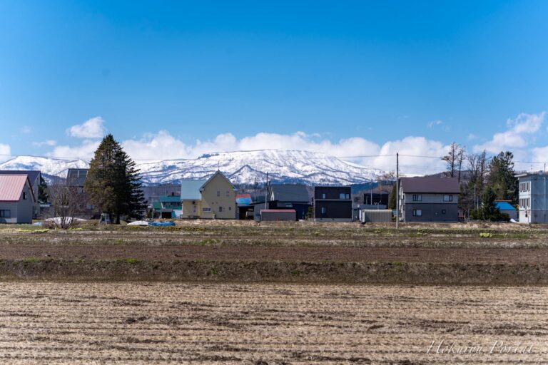 残雪の山々を見守る白龍雲