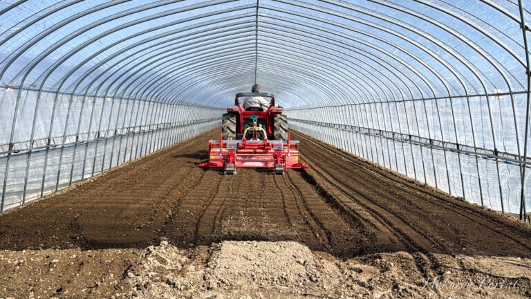 田おこし＆とうもろこし播種作業