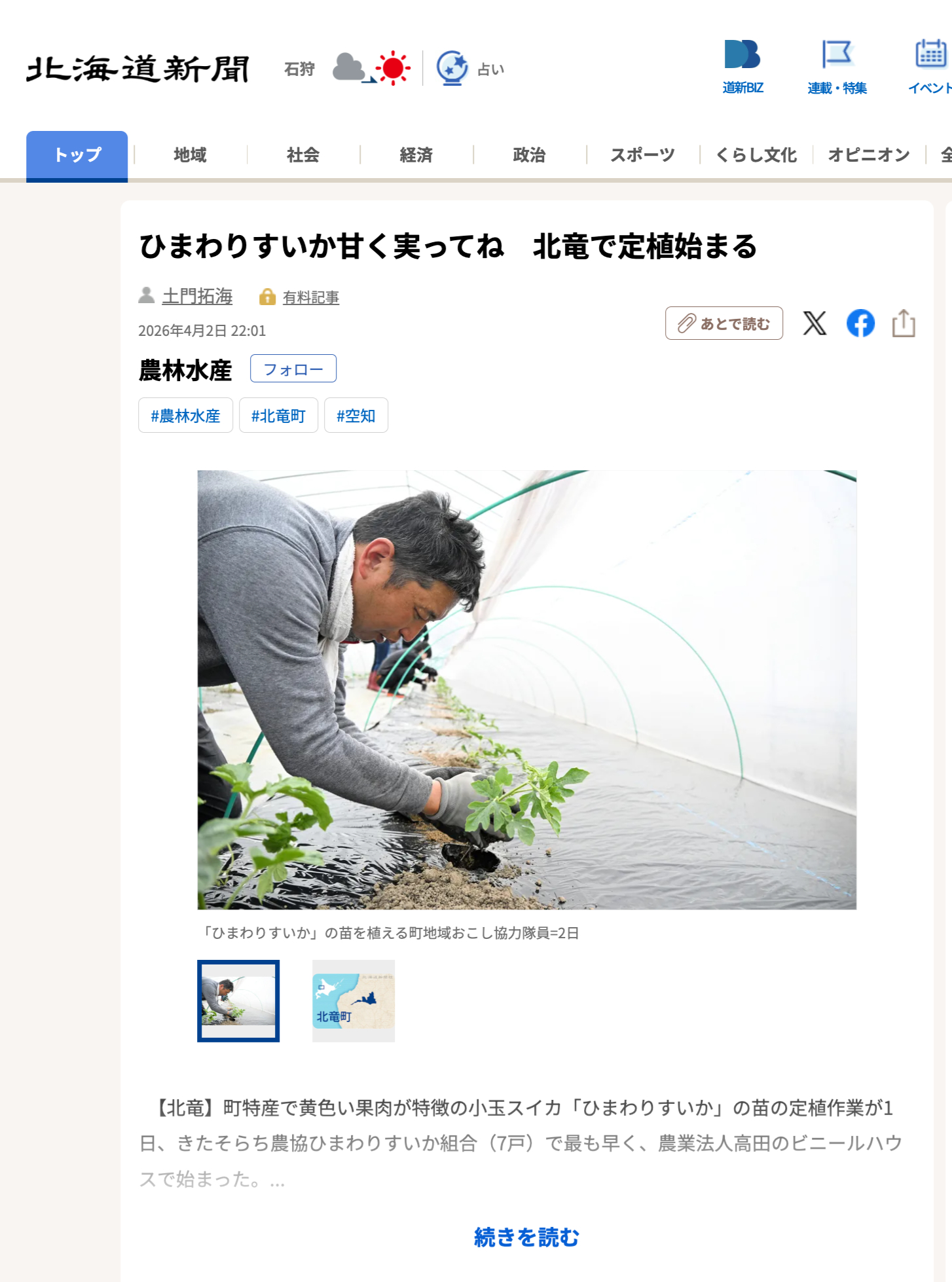 Semangka Bunga Matahari, pasti akan matang dengan manis! Penanaman dimulai di Hokuryu [Hokkaido Shimbun Digital]