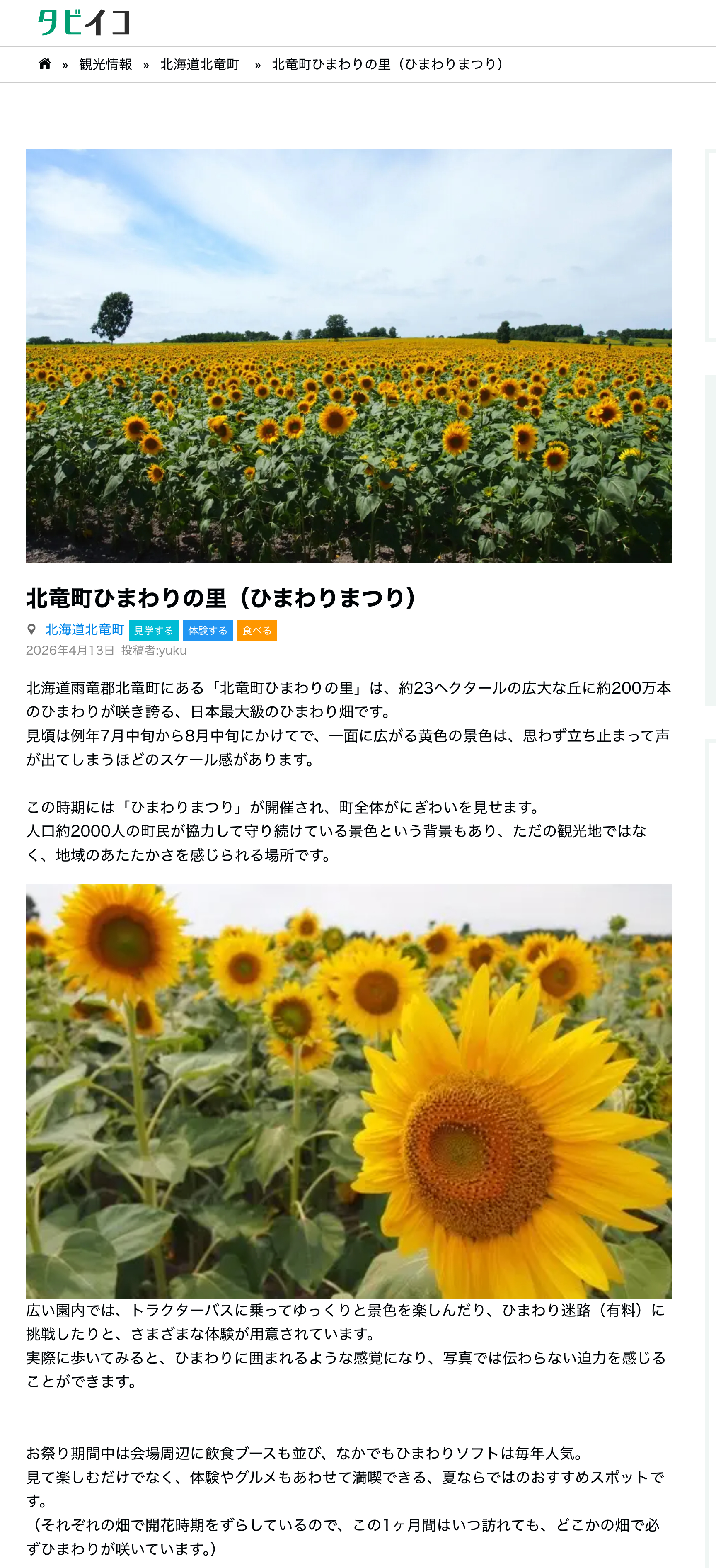 Làng Hoa Hướng Dương Thị trấn Hokuryu (Lễ hội Hoa Hướng Dương) [Tabiiko]