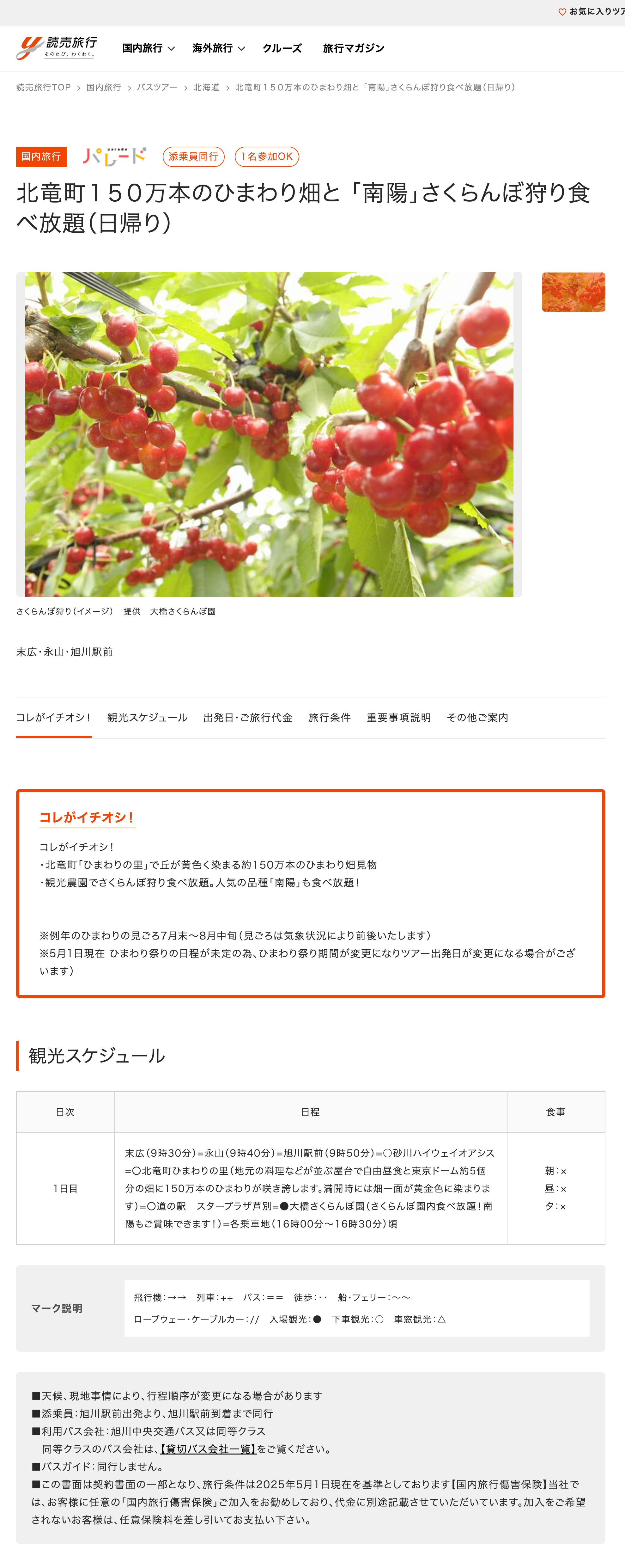 北竜町１５０万本のひまわり畑と 「南陽」さくらんぼ狩り食べ放題（日帰り）【読売旅行】