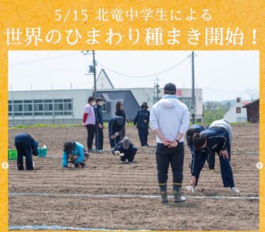 5/15(金)に、北竜中学校の生徒さんたちによる「世界のひまわり」の種まきが行われました！☀️【北竜町ひまわり観光協会・酒井優斗】