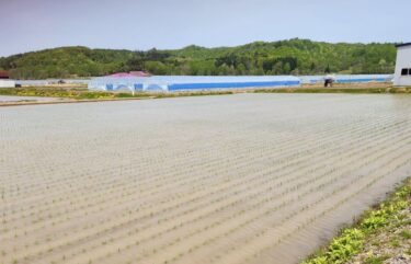 田植え終了しましたぁ【（株）高田】